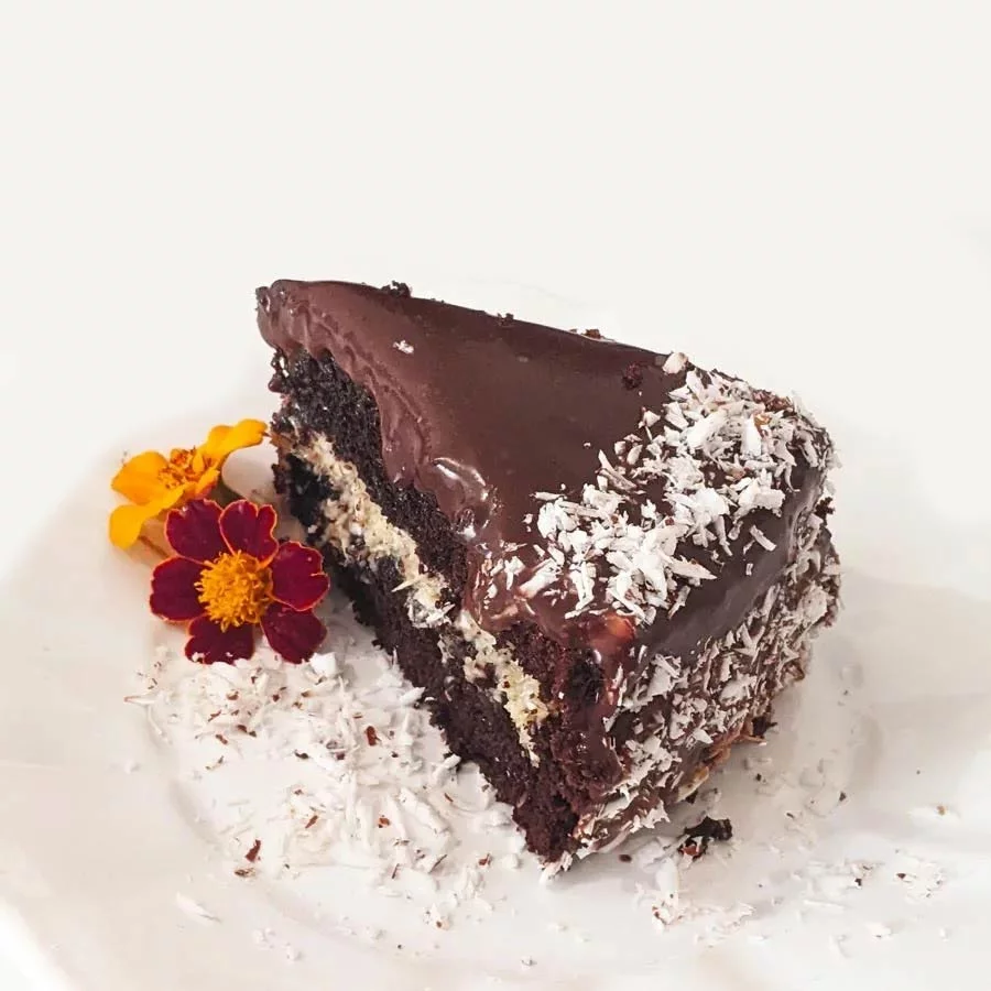 Fatia de Bolo de Chocolate com Coco